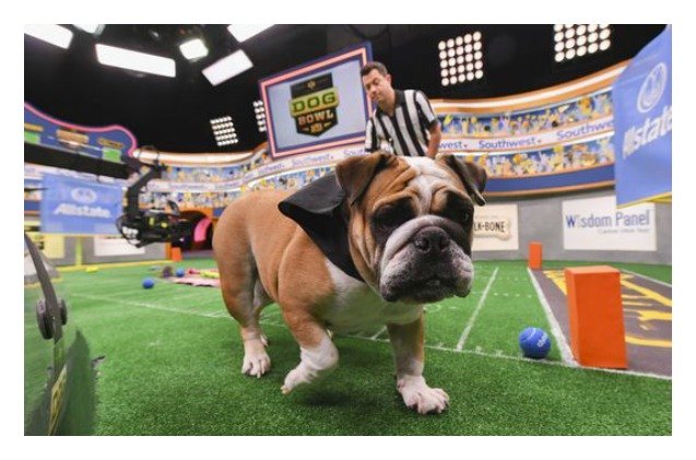 animal planet 8217 s the dog bowl to debut before the super bowl