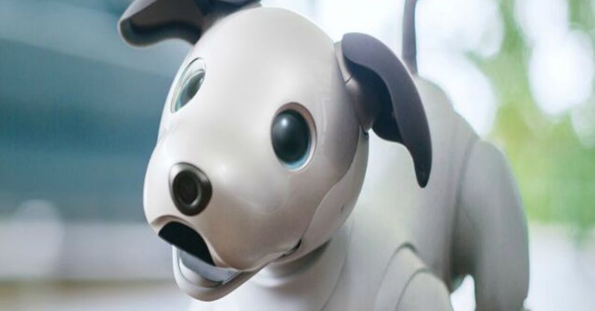 Sony's Robotic Dog Gets 4 Paws Up at CES | PetGuide