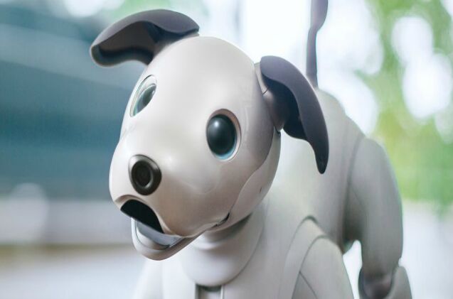 sony 8217 s robotic dog gets 4 paws up at ces