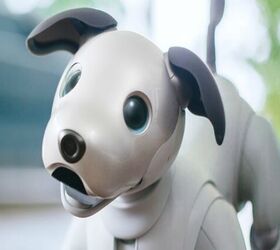 Sony’s Robotic Dog Gets 4 Paws Up at CES