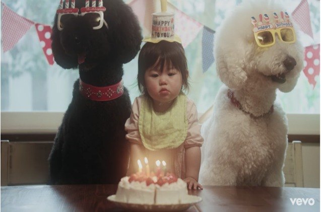 insta famous toddler and her giant poodles star in beck 8217 s new video