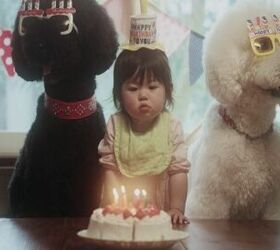 Insta-Famous Toddler and Her Giant Poodles Star in Beck’s New Video