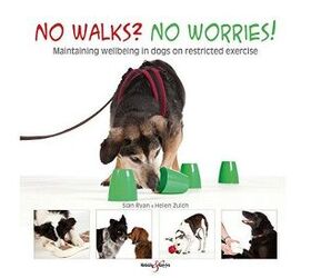 top 10 dog workout products for workout woofs