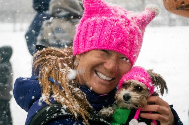 dogs take to the streets at the second annual womens march