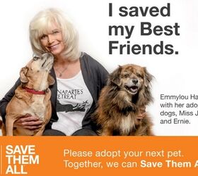 emmylou harris stands up for shelter dogs in best friends animal socie