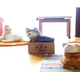 Japanese Cool Cats Wear Hats Made From Their Own Fur