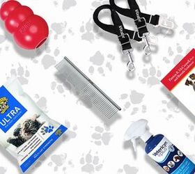 Readers’ Picks: The Best Pet Products on Amazon, According to You