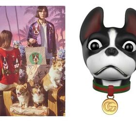 Boston Terriers of Alessandro Michele Inspired Gucci Chinese New Year  Collection