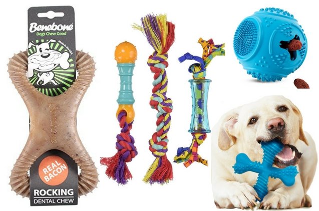 top toys for clean dog teeth