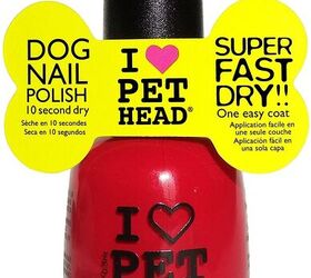 Nail polish outlet on dogs safe