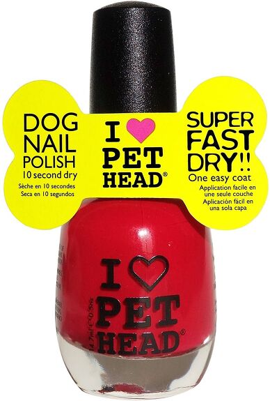 How to Safely Paint Your Dog's Nails | PetGuide
