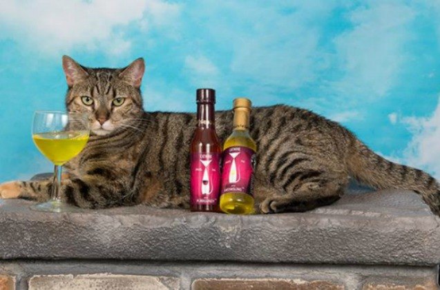 its national drink wine with your cat week and the drinks are on