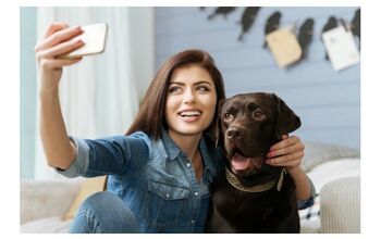 Your Pet Could Be Zulily’s Next Spokemodel – Enter the Contest Now