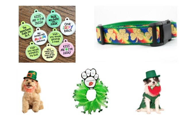 top 10 grand st patrick 8217 s day gifts for irish setters 8230 or any dog