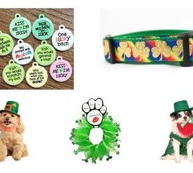 Top 10 Grand St. Patrick’s Day Gifts For Irish Setters (…Or Any Do