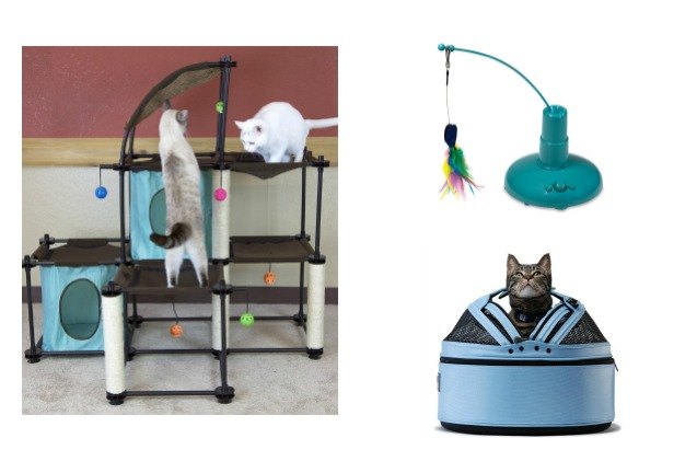 best cat products that 8217 ll keep your kitty occupied for hours