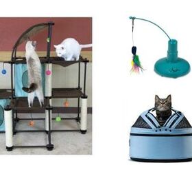 Best Cat Products That’ll Keep Your Kitty Occupied For Hours