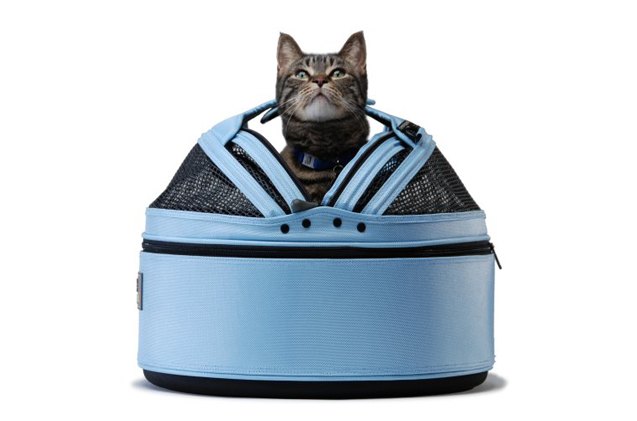 best cat products that 8217 ll keep your kitty occupied for hours