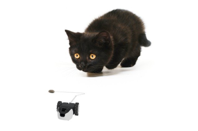 global pet expo 2018 petronics 8217 mousr ai bot keeps your kitty on the hunt