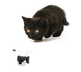 Global Pet Expo 2018: Petronics’ Mousr AI Bot Keeps Your Kitty On Th