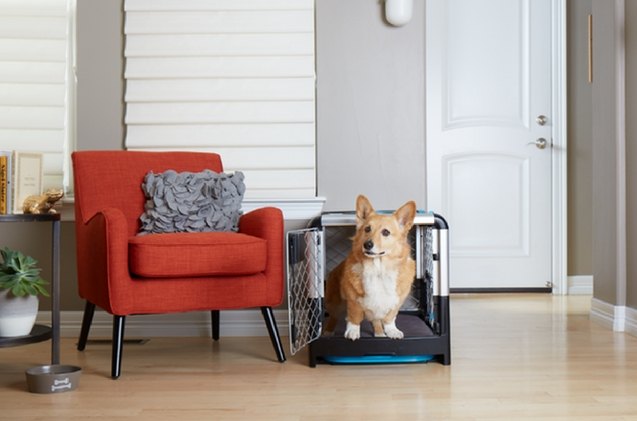 this collapsible dog crate from kickstarter is a pawrent 8217 s dream come true