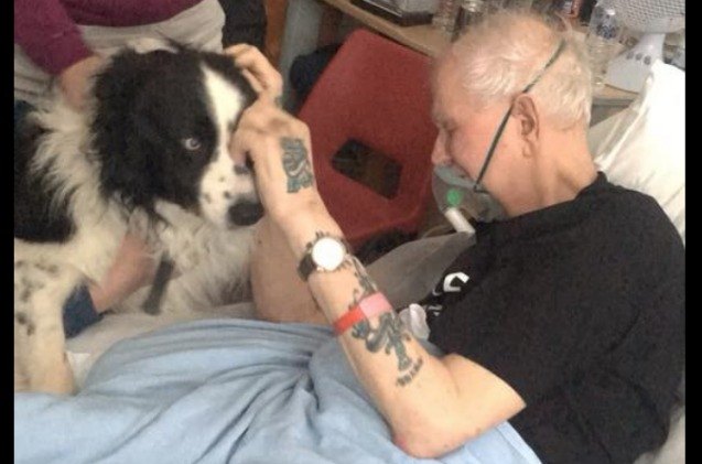 dying man 8217 s last wish granted when his dog visits hospital video
