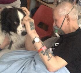 dying mans last wish granted when his dog visits hospital video