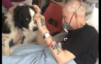 Dying Man’s Last Wish Granted When His Dog Visits Hospital [Video]