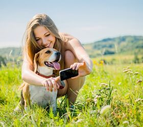 It’s Official! Millenials Now Make Up Most of America’s Pet Owners