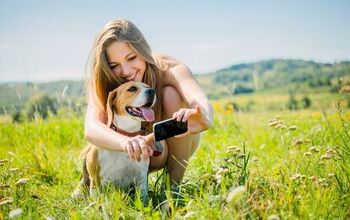 It’s Official! Millenials Now Make Up Most of America’s Pet Owners