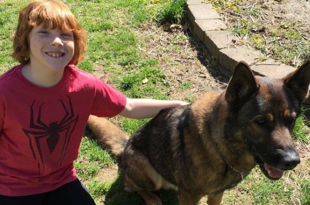 family of k9 police dog heartbroken as he 8217 s abruptly reassigned