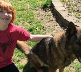 Family Of K9 Police Dog Heartbroken As He’s Abruptly Reassigned