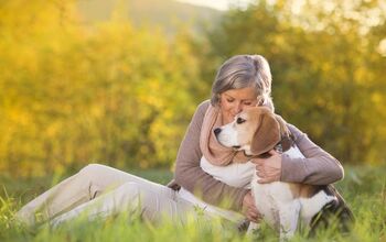 Planing Your Pet’s Future: What All Pet Parents Should Do First