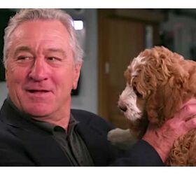 De Niro Doesn’t Know Dogs On Tonight Show With Jimmy Fallon [Video]