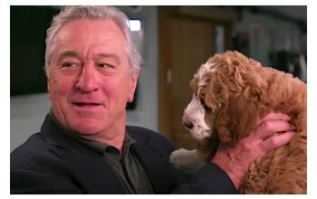 De Niro Doesn’t Know Dogs On Tonight Show With Jimmy Fallon [Video]
