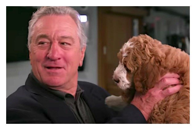 de niro doesnt know dogs on tonight show with jimmy fallon video