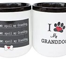 Best Mother’s Day Gifts For Dog Moms PetGuide