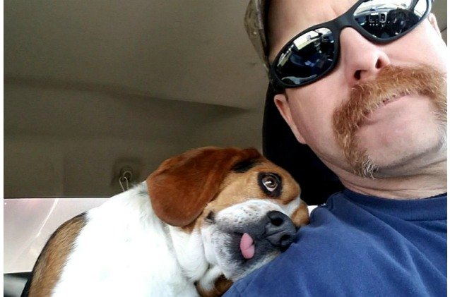 beagle 8217 s freedom ride gratitude goes viral