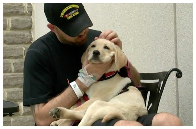 veteran 8217 s ptsd service dog banned at va hospital