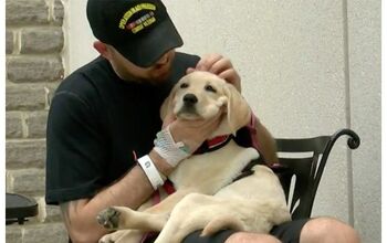 Veteran’s PTSD Service Dog Banned at VA Hospital
