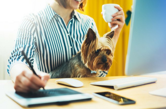 these are america s pet friendliest companies of 2018