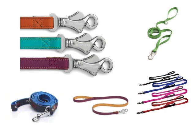 Best Leashes For Your Pomsky