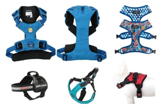 best harnesses for your pomsky