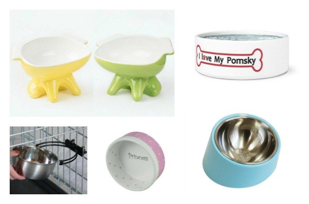 Best Bowls For Your Pomsky