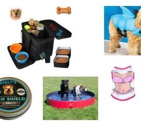 10 summer fun stuff roundup for dogs