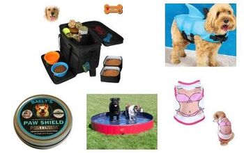 10 Summer Fun Stuff Roundup for Dogs