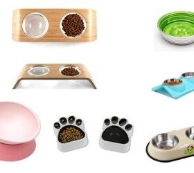 Best Bowls For Shorkies