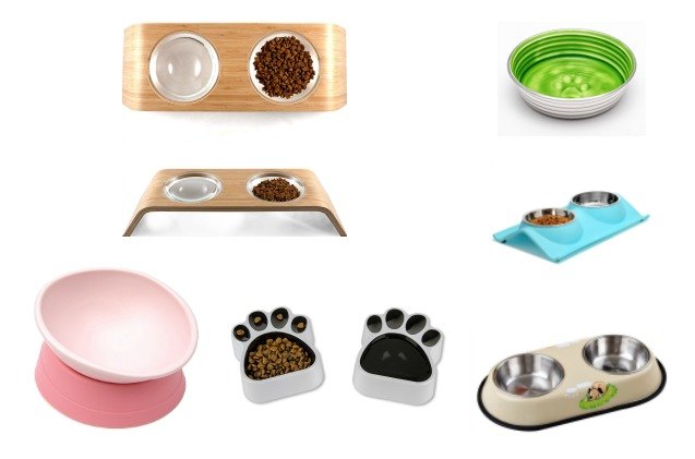 best bowls for shorkies