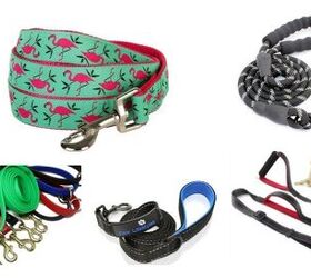 10 Best Leashes For Miniature Huskies