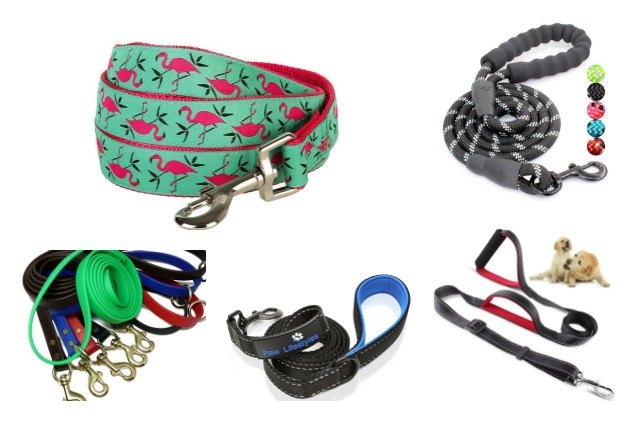 10 best leashes for miniature huskies